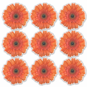 9 Orange Gerbera Daisy Flower Kiss-Cut Stickers