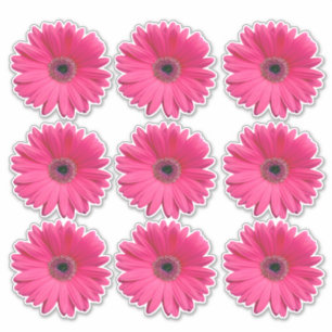 9 Pink Gerbera Daisy Flower Kiss-Cut Stickers