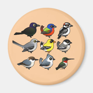 9 Southeast USA Backyard Birds Magnet