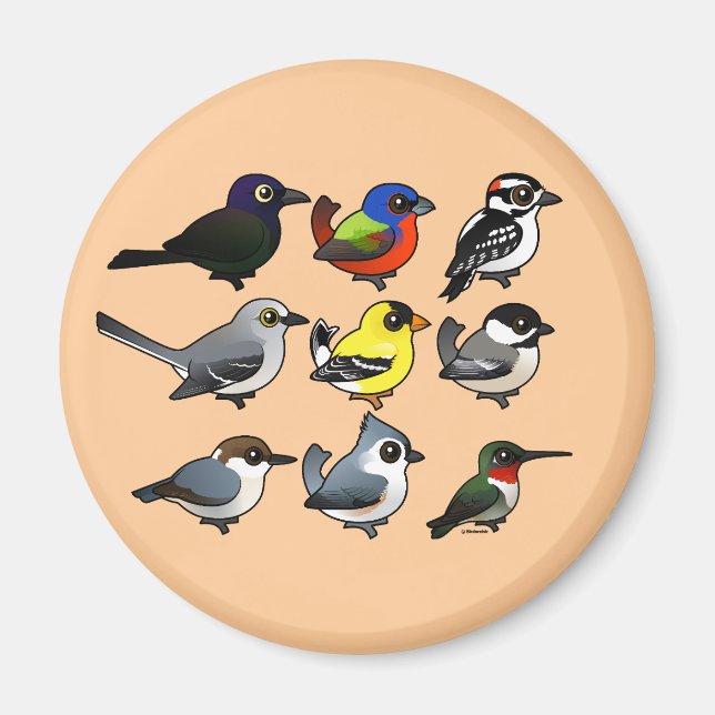 9 Southeast USA Backyard Birds Magnet (Front)