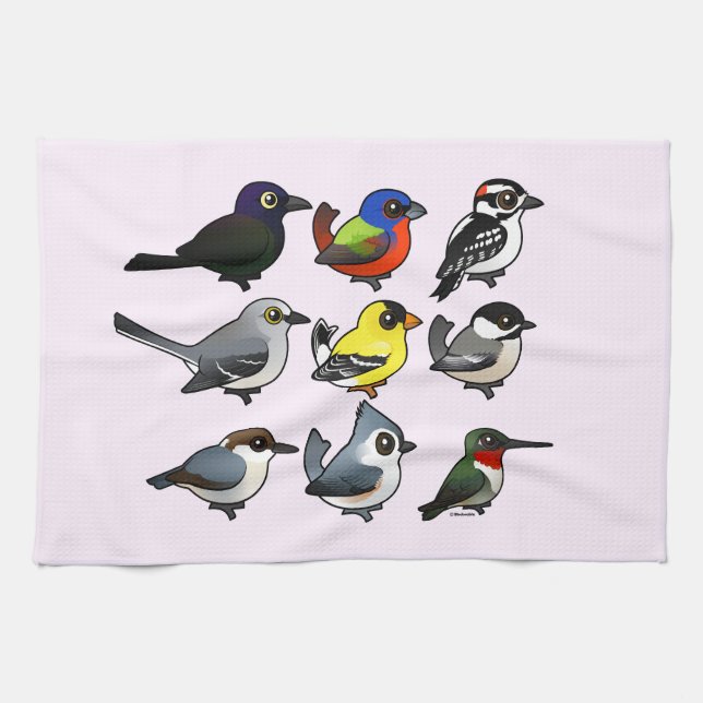9 Southeast USA Backyard Birds Tea Towel (Horizontal)