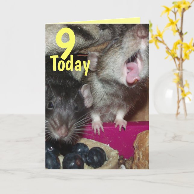 9 today baby rats Birthday greetings card (Yellow Flower)