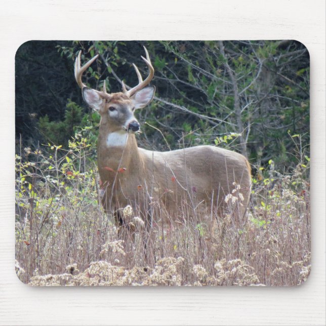 9"x 8" Mouse Pad (Front)