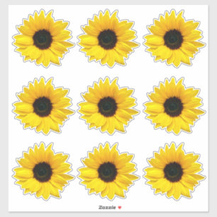 9 Yellow Sunflower Flower Kiss-Cut Stickers