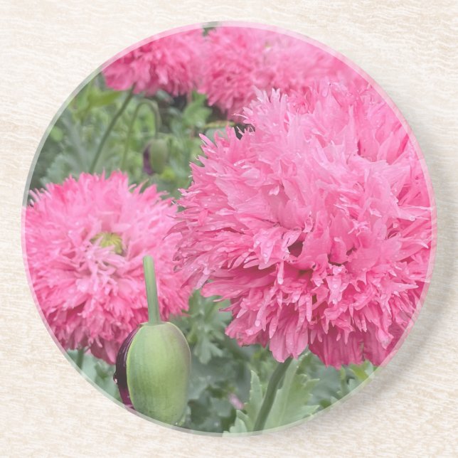 9th Wedding Anniversary, Poppy Coaster (Front)