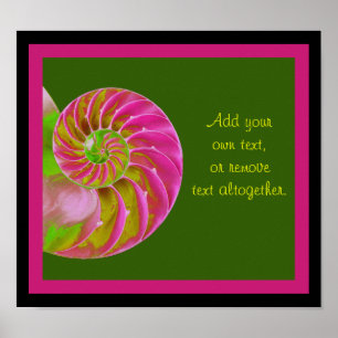 A001 Chambered Nautilus - Customizable Poster