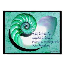 A01 Nautilus Shell Poster with Inspirational Quote