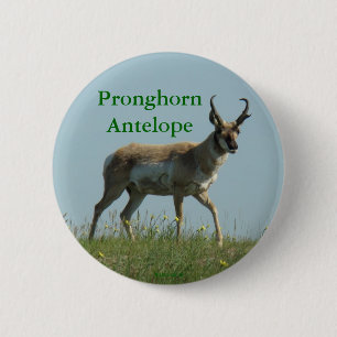 A10 Pronghorn Antelope 6 Cm Round Badge