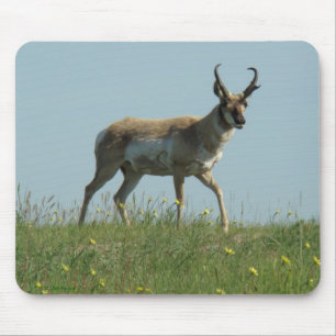 A10 Pronghorn Antelope and Wildflowers Mouse Mat