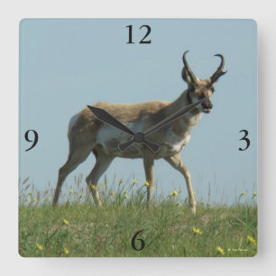A10 Pronghorn Antelope Walking Threw Wildflowers Square Wall Clock