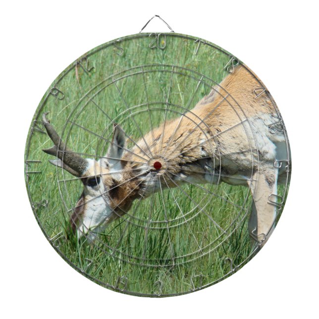 A11 Pronghorn Antelope Buck Grazing Dartboard (Front)