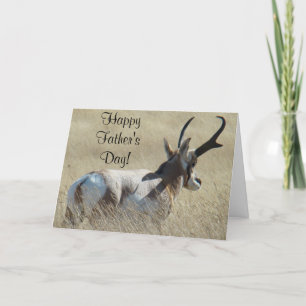A14 Pronghorn Antelope Sunshine Buck Card