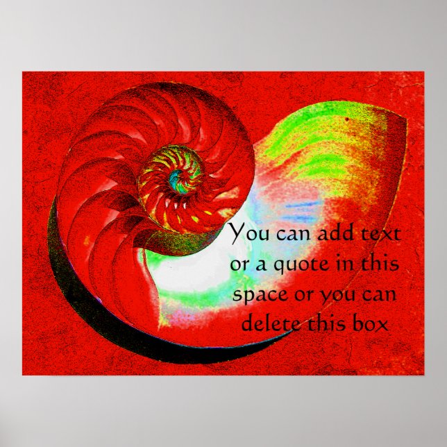 A15 Nautilus Shell Poster - With Your Text - 3 (Front)