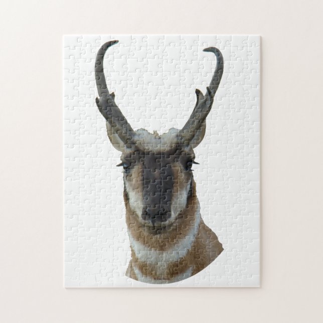 A19 Pronghorn Antelope Head Jigsaw Puzzle (Vertical)