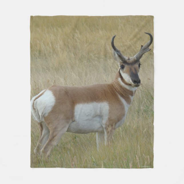 A1 Pronghorn Antelope Big Buck Fleece Blanket (Front)