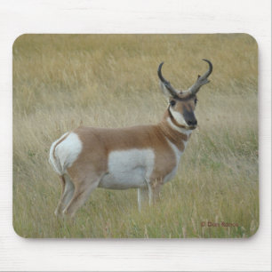 A1 Pronghorn Antelope Big Buck Mouse Mat