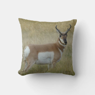 A1 Pronghorn Antelope Buck Cushion
