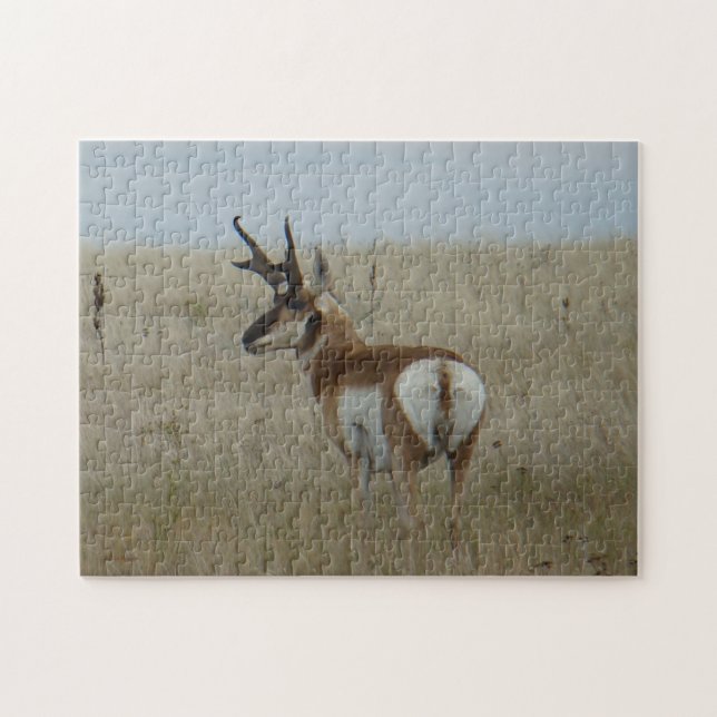 A22 Pronghorn Antelope Buck Jigsaw Puzzle (Horizontal)