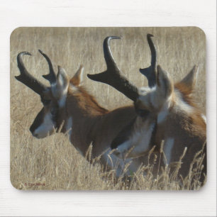 A23 Pronghorn Antelope Young Bucks Head Shot Mouse Mat