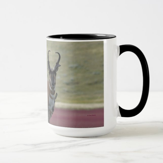 A24 Pronghorn Antelope Mug (Right)