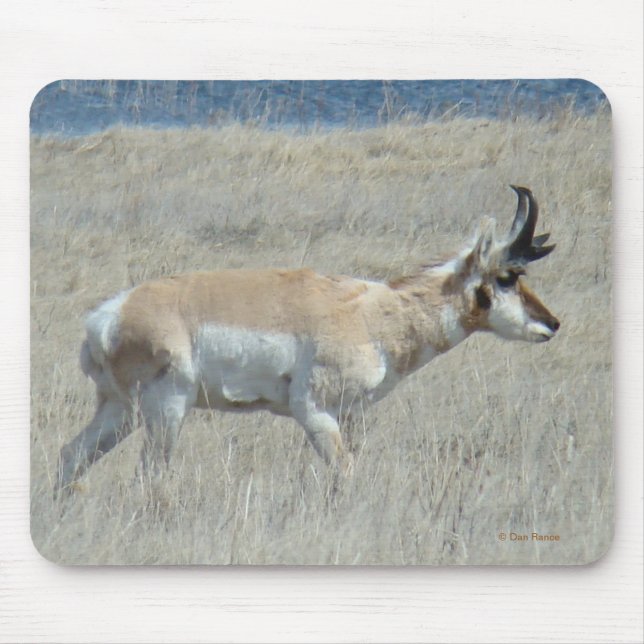 A25 Antelope Buck Mouse Mat (Front)