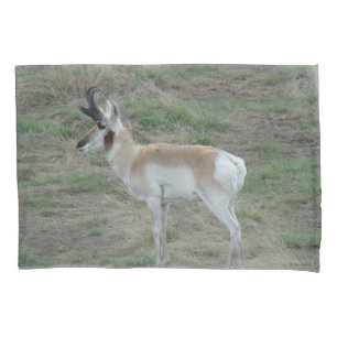 A26 Pronghorn Antelope Buck Pillowcase