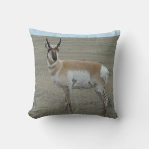 A28 Pronghorn Antelope Young Buck Cushion
