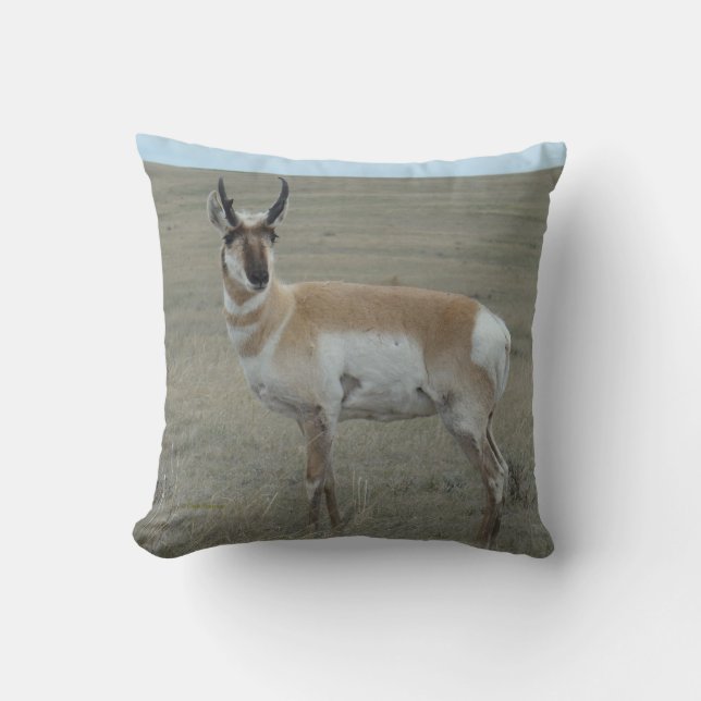 A28 Pronghorn Antelope Young Buck Cushion (Front)