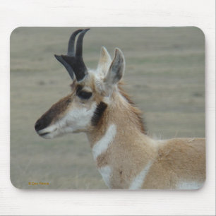A29 Pronghorn Antelope Young Buck Head Profile Mouse Mat