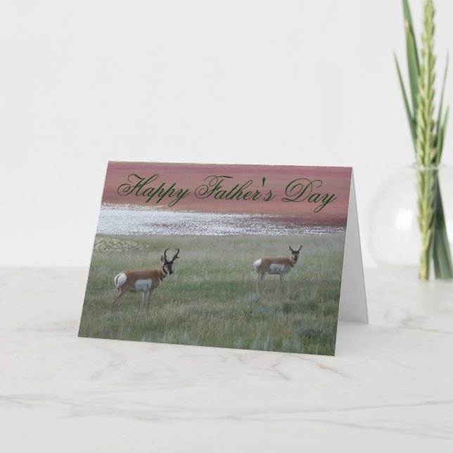 A2 Pronghorn Antelope Card (Front)