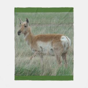 A31 Pronghorn Antelope Doe Fleece Blanket