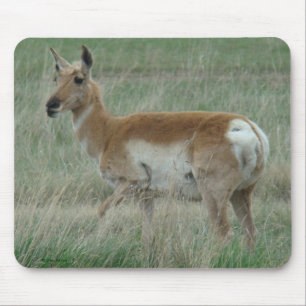 A31 Pronghorn Antelope Doe Mouse Mat