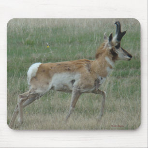 A32 Pronghorn Antelope Buck Mouse Mat