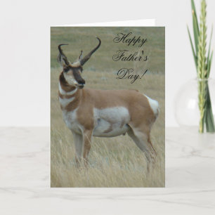 A37 Pronghorn Antelope Big Buck Crooked Horns Card