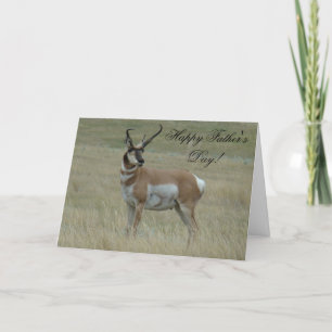 A37 Pronghorn Antelope Big Buck Crooked Horns Card