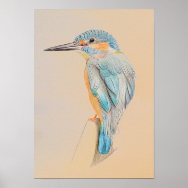 A3 Beautiful Kingfisher Pencil Drawing Print (Front)