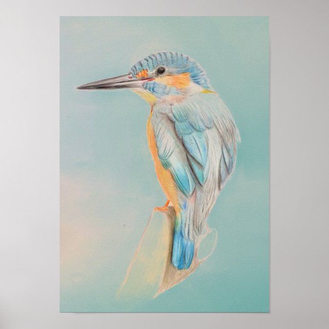 A3 Beautiful Kingfisher Pencil Drawing Print (Front)