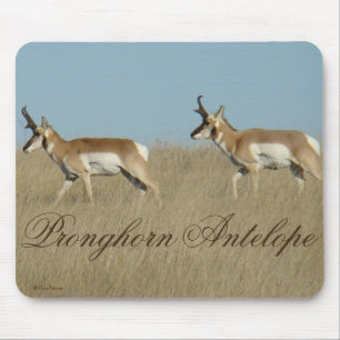 A45 Pronghorn Antelope Young Bucks Mouse Mat