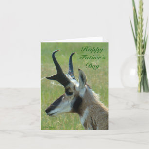 A47 Pronghorn Antelope Big Buck Head Profile Holiday Card