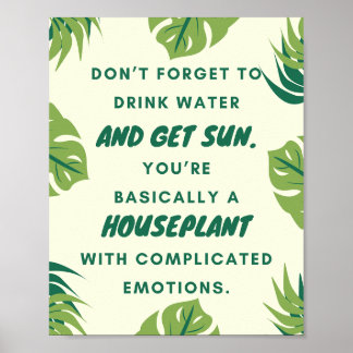 A4 Houseplant Humour Poster for Plant Lovers