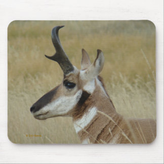 A4 Pronghorn Antelope Head Profile Mouse Mat