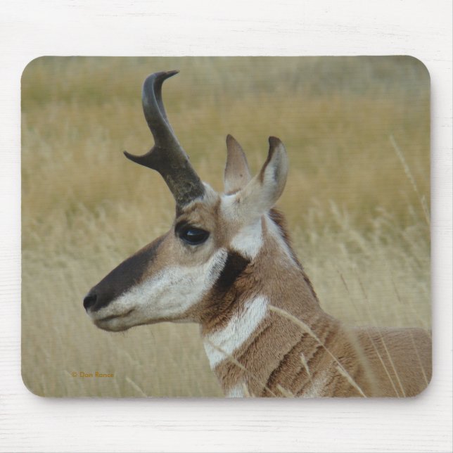A4 Pronghorn Antelope Head Profile Mouse Mat (Front)
