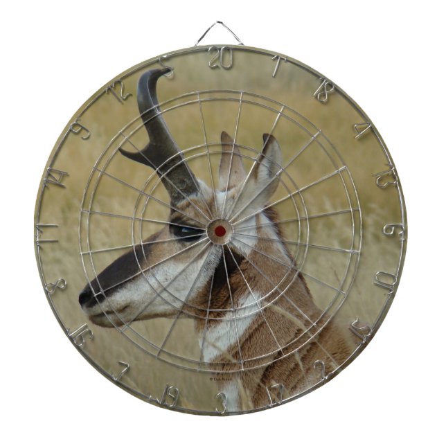 A4 Pronghorn Antelope Young Buck Head Shot Profile Dartboard (Front)