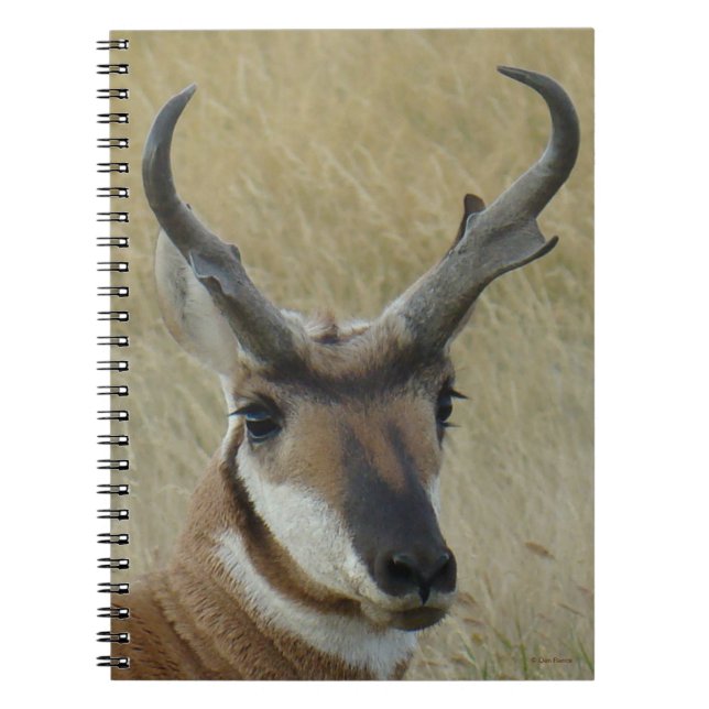 A5 Pronghorn Antelope Big Buck Head Shot Notebook (Front)
