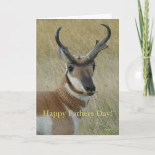 A5 Pronghorn Antelope Head Shot Card