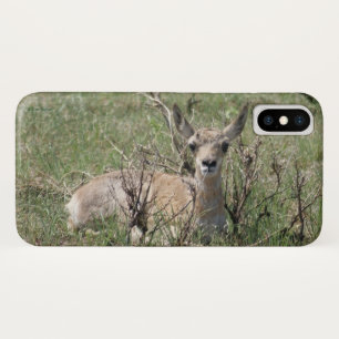 A7 Baby Pronghorn Antelope iPhone X Case