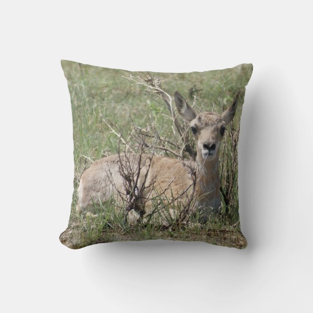 A7 Baby Pronghorn Antelope Cushion (Front)