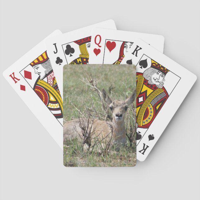 A7 Baby Pronghorn Antelope Playing Cards (Back)