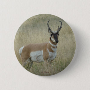 A8 Pronghorn Antelope 6 Cm Round Badge