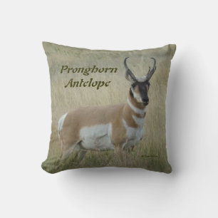 A8 Pronghorn Antelope Big Buck Cushion